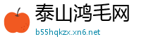 泰山鸿毛网